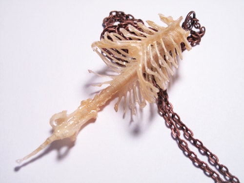 Anatomical Jewelry Bat Skeleton Anatomy Bat Necklace Rib Cage, Spine and Tail Bat Jewelry