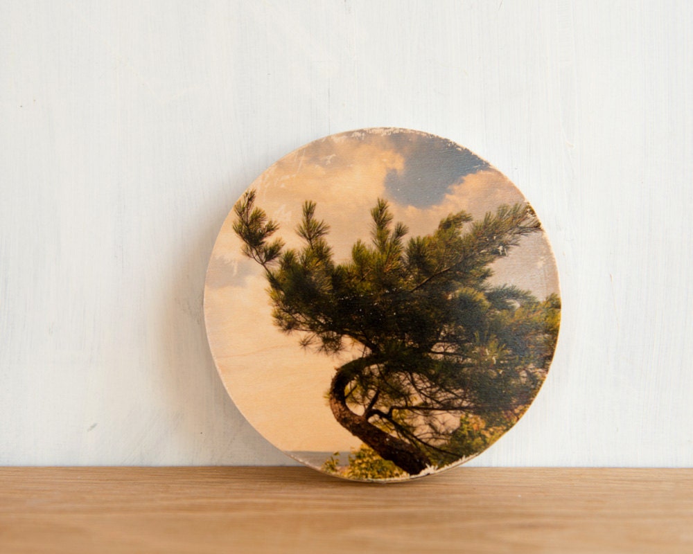 Pine Tree Photo Art Block Circle Mini - 'Lone Pine' Image Transfer on wood by Patrick Lajoie, camping, parks, hiking