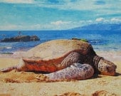 FREE Shipping - BEACH TURTLE 8x10 Giclee Photo Art Print - Maui Hawaii