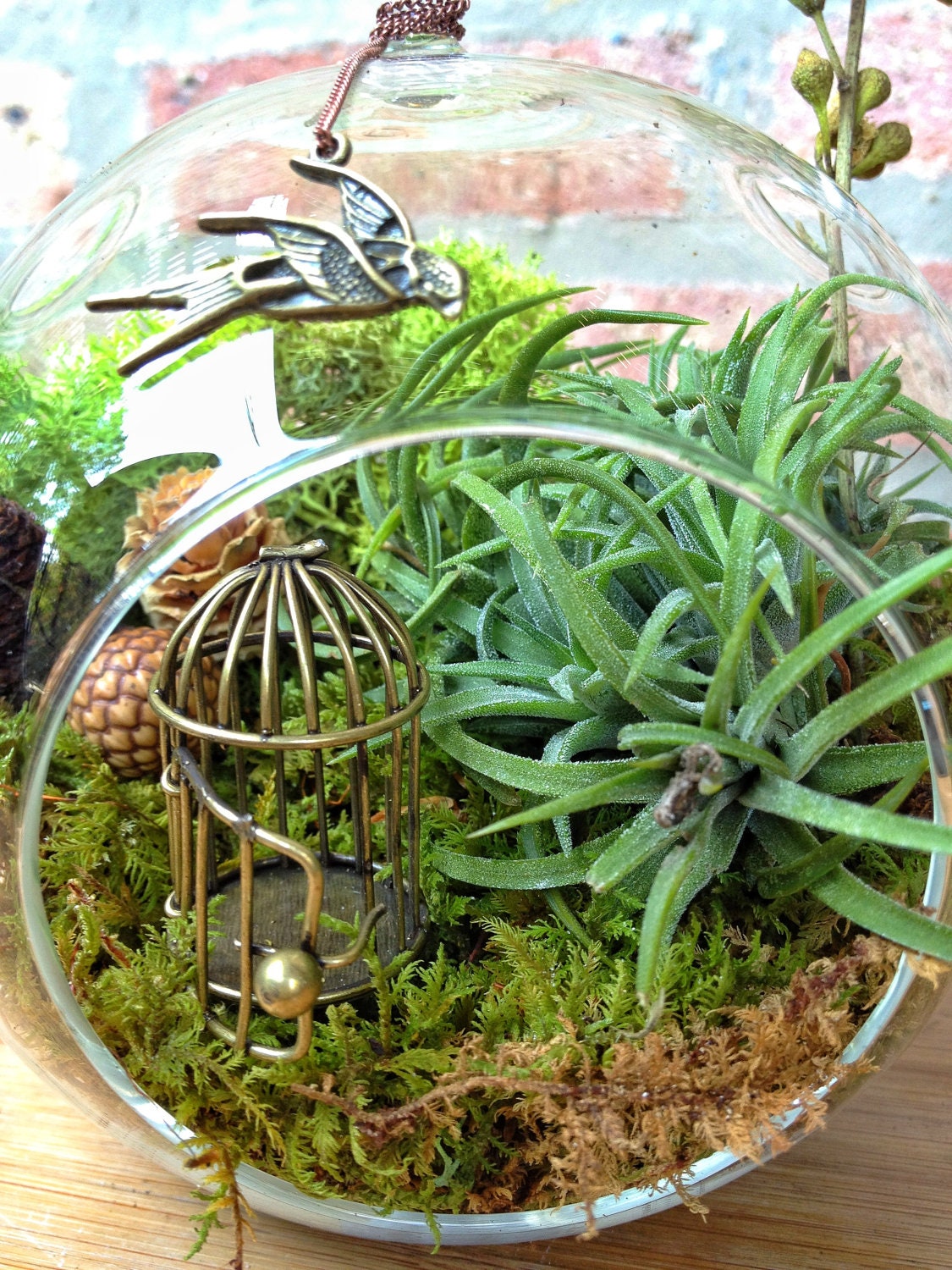 Swallow and Bird Cage Air Plant Terrarium - A Perfect Birthday or Housewarming Gift