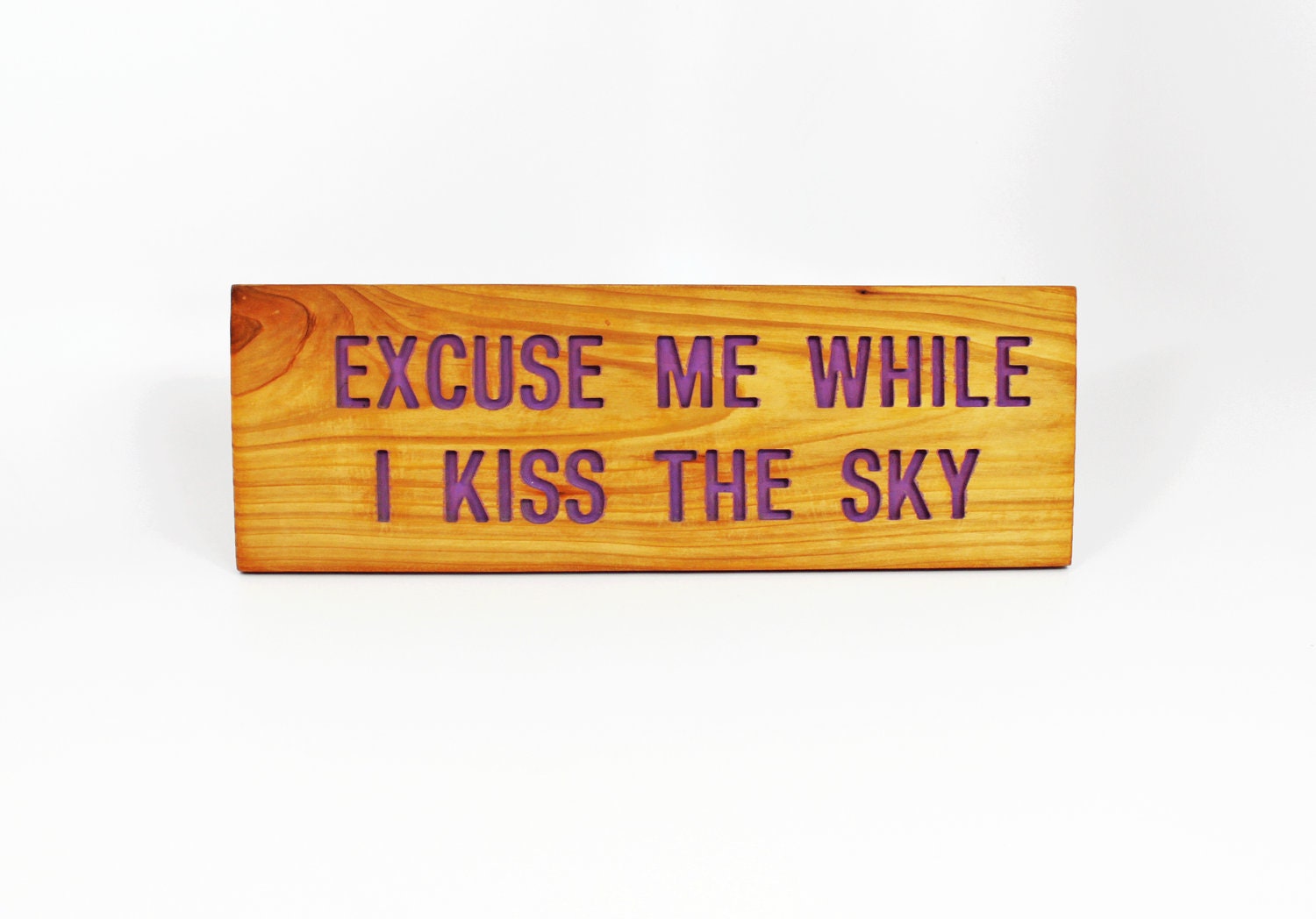 EXCUSE me WHILE I Kiss The SKY,  Cedar Wood Sign, Painted & Oil Sealed: Hand Routed