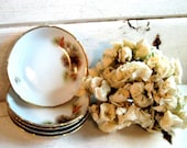 Pine Tree Translucent china saucers, set of 5,  pine cones, White, green, tangerine, brown, gold trim, 6 inch round
