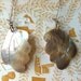 Vintage Mother of Pearl Wing Earrings