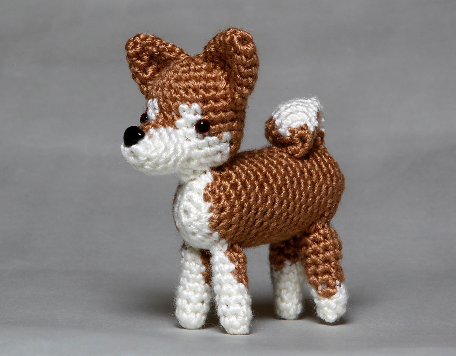 Shiba Inu