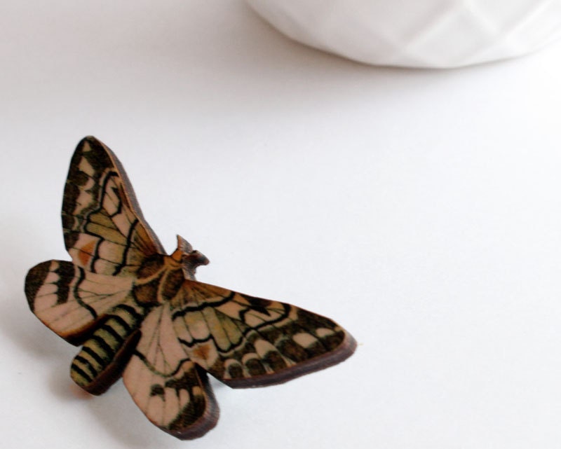 Moth Pin Insect Brooch Brown Woodland Moth Bug Nerd Jewelry Earthtone