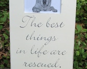 distressed picture frame for the dog and dog lover - 4 x 6 distressed frame, shabby chic