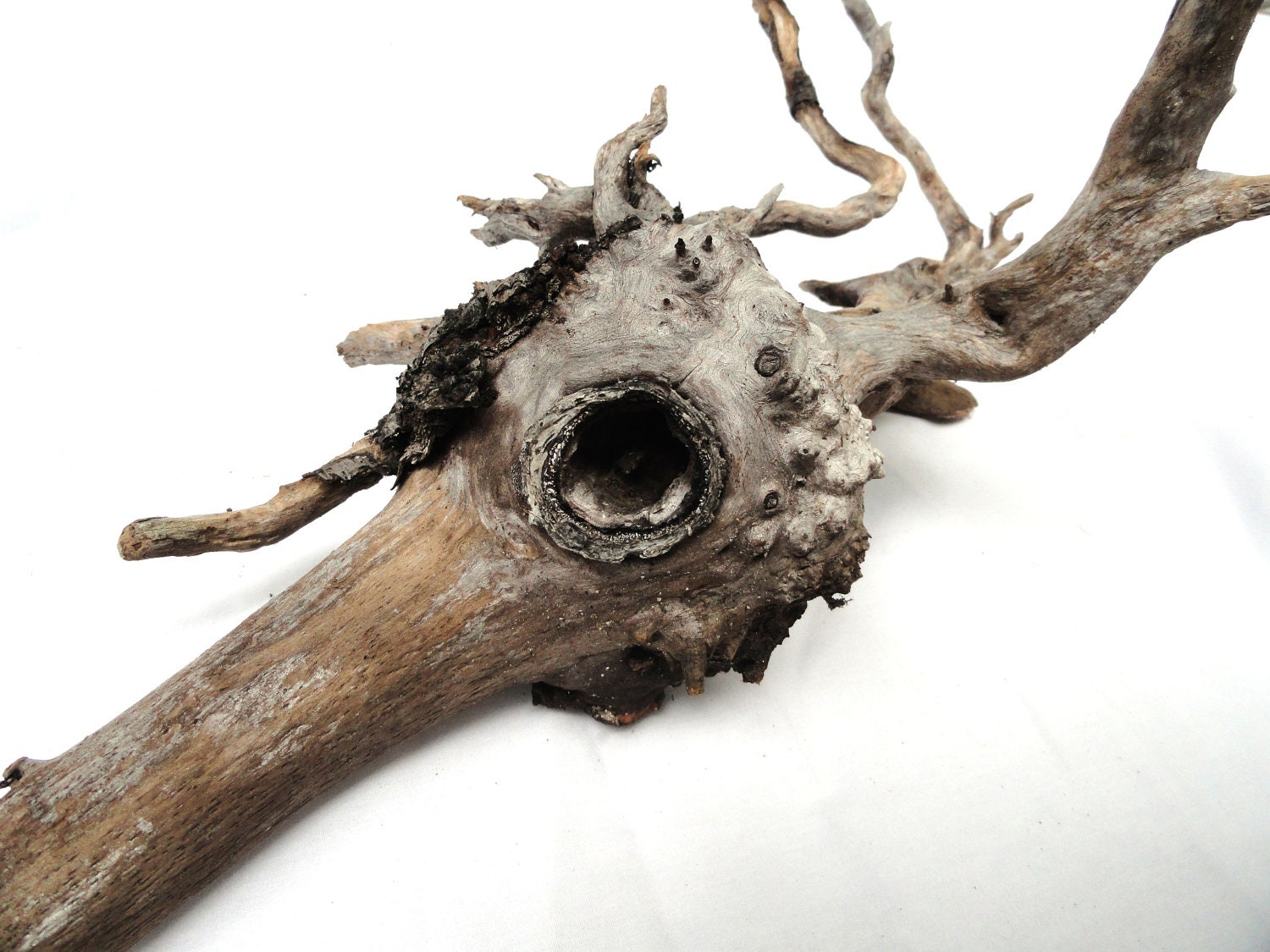 Driftwood Sculpture