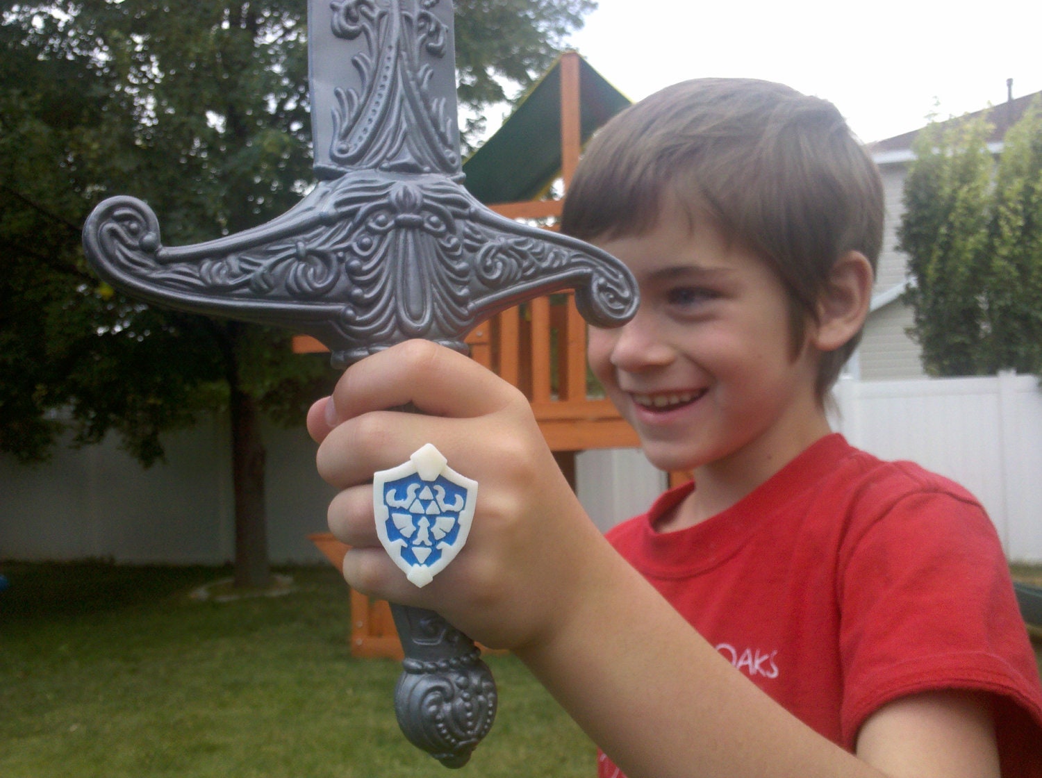 Legend of Zelda Hylian Shield Ring