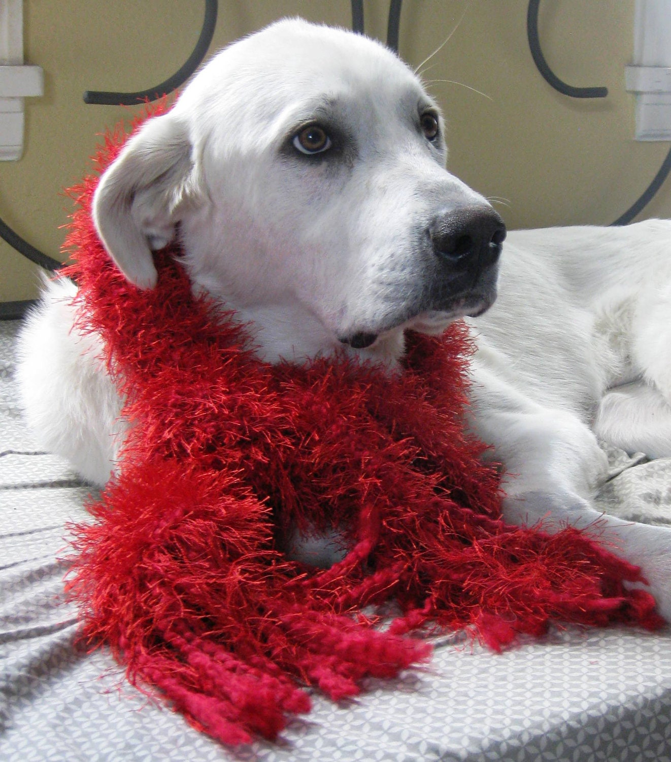 Hand-knit Scarf (washable) - 100% donation to Great Pyrenees Rescue of Montana