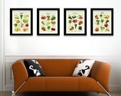Kitchen Art Fruit Vegetable 8x10 Kitchen Decor Food Lover Summer Autumn Winter Spring Seasonal Housewarming gift. Set of 4 By MossyJojo.