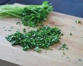 1/4 LB, BULK Coriander Seeds, Cilantro Cooking Herb, Perennial