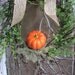 Reserved Listing for Lesa Burke - Boxwood like Wreath - Front door wreath
