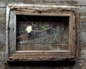 Primitive Reclaimed Barn Wood Frame & Barbed Wire Rustic Home Decor