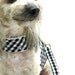 Dog Harness Vest Comfort Harness Soft Dog Harness in Black and White Houndstooth Print