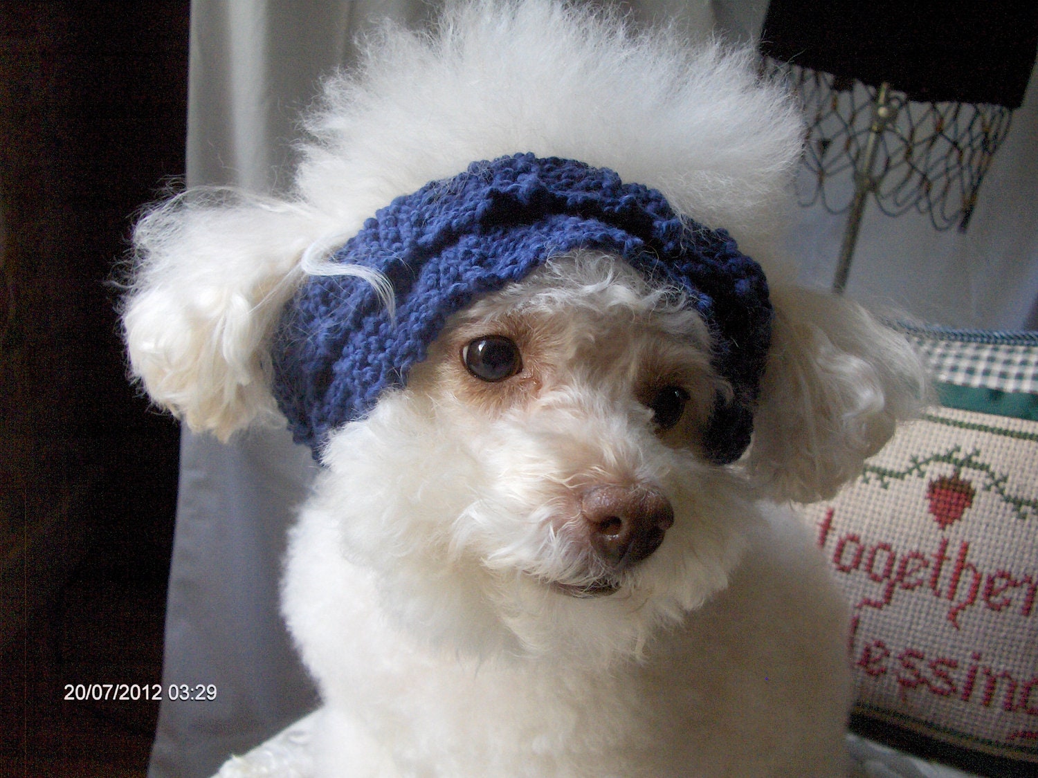 BLUE BABY........Hand knit, Navy blue, 100% Soft Cotton, Head band, Hair band, Loosely knit, Ease of care - CanineCoutureLTD