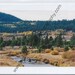 Fall Colors Greeting Card