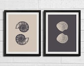 Sea Shell Wall Art - Home Decor Set 2 8x10 Print