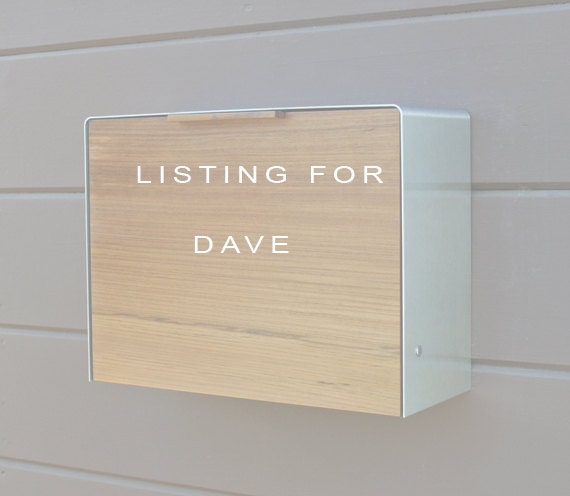 Modern Mailbox, Large Teak and Stainless Steel Mailbox, Wall Mounted mailbox