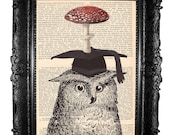 Academic owl and mushroom - ORIGINAL ARTWORK  dictionary print Mixed Media -HAND Painted, art print page book