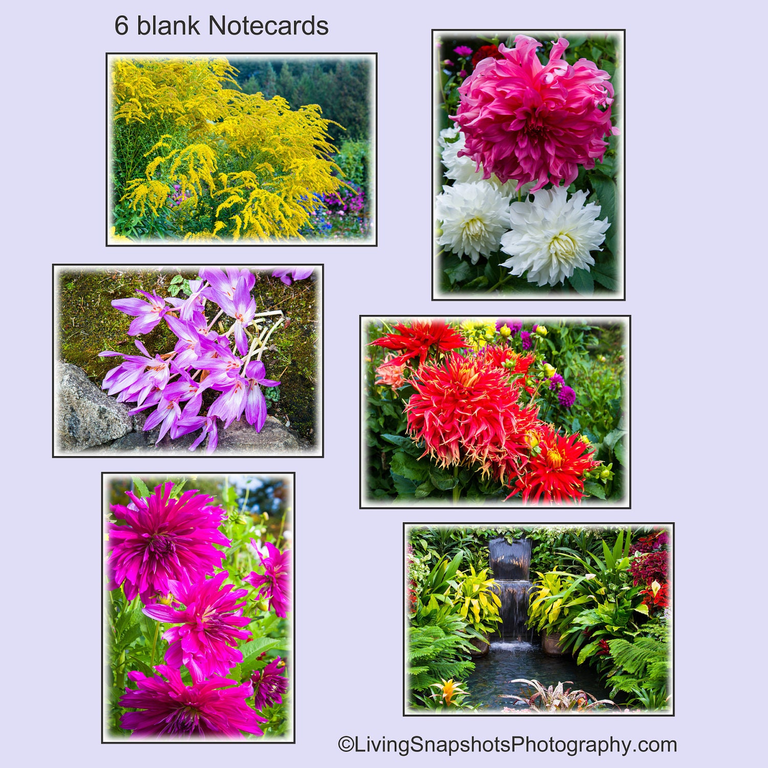 Butchart Gardens flower notecards, 6 different photo print greeting cards with envelopes
