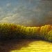 After the Storm is an original oil painting on canvas, with dimensions of 28 x 42 inches.