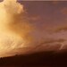 Tropical Dawn is an original oil painting on canvas, with dimensions of 24 x 36 inches