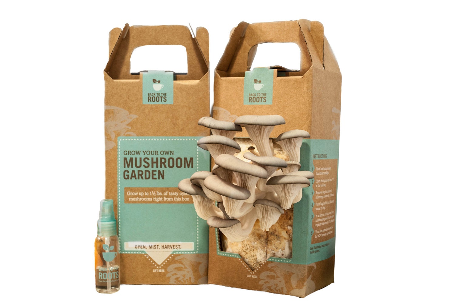 Back to the Roots Mushroom Garden (Set of 2)