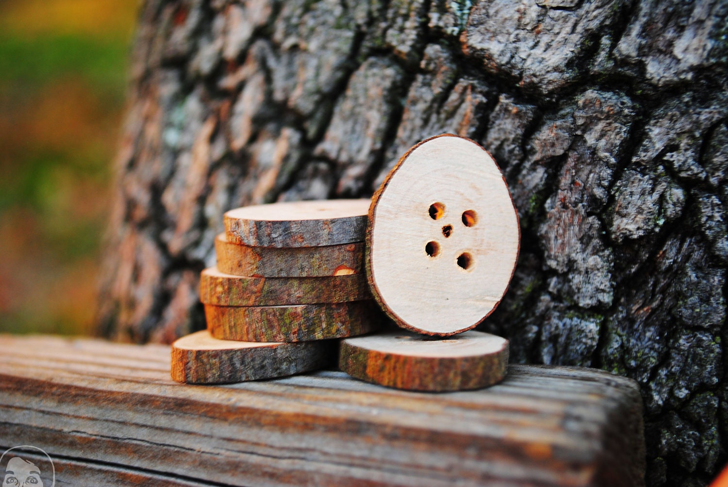 Handmade Fallen Branch Buttons