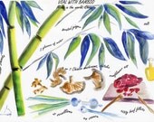 Beef with bamboo. Chinese cuisine. Art kitchen. green. Watercolor print..