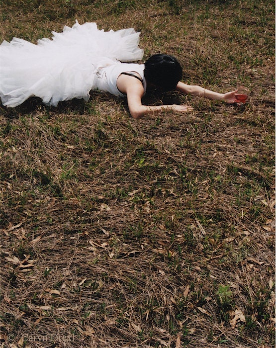 Dont Spill A Drop - FREE SHIPPING - Print Girl White Tulle Wine Brown Green Red Black Nature Grass Weeds Fallen Drunk Photo Art