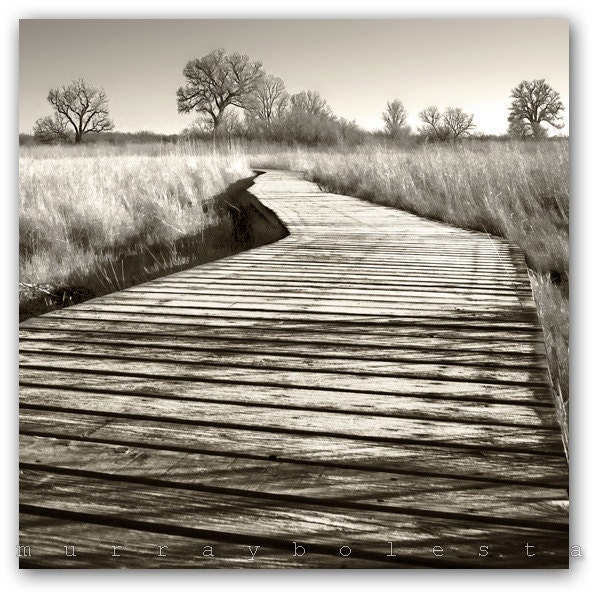 Sepia, Fine Art Photograph, Nature Trail, Landscape Art Photograph, 10x10