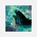 Nature Photography, teal, black, blue, butterfly, Captured, fine art photography print 8x8