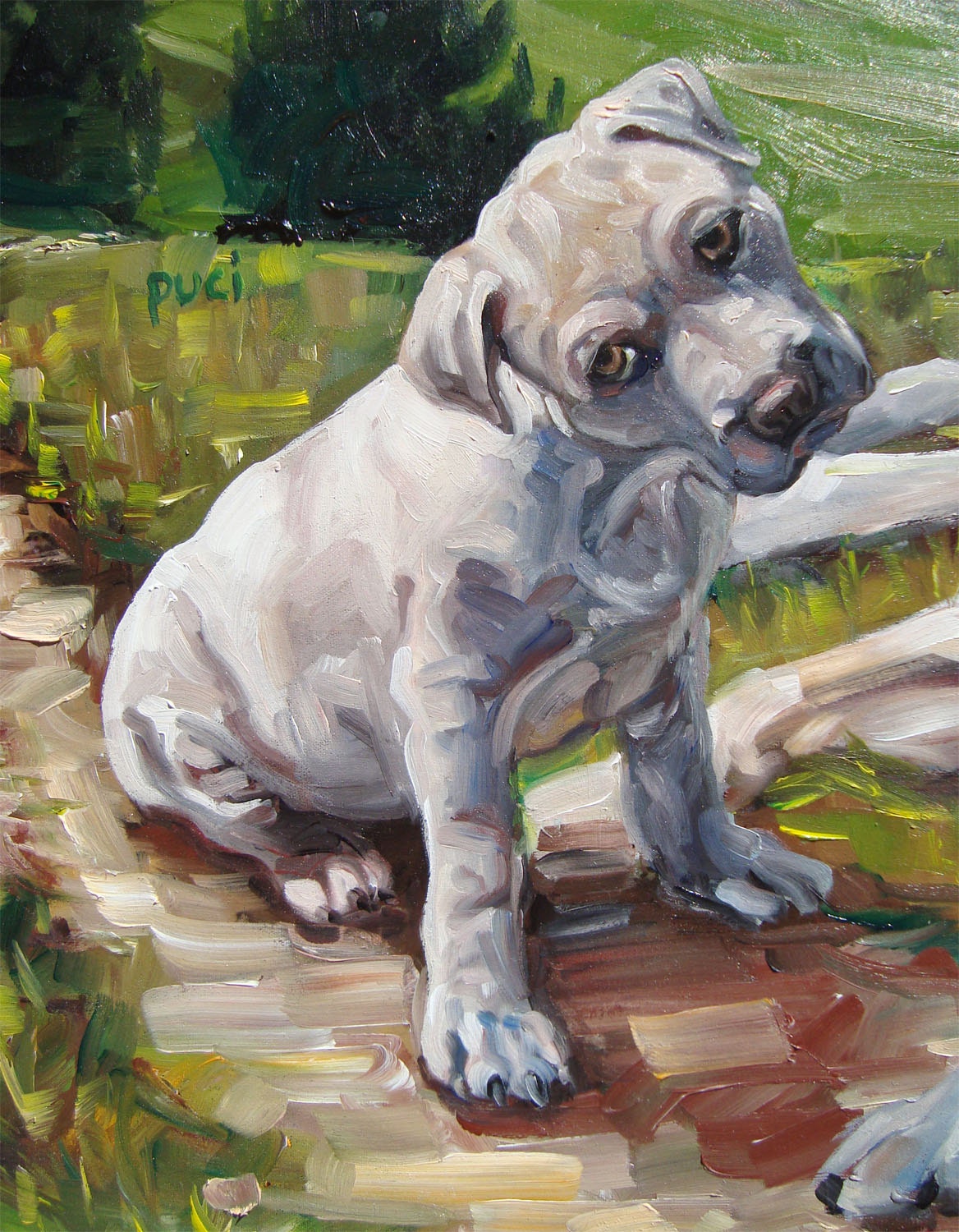PUP&POP, custom Pet Portrait Oil Painting by puci, 16x20", 2 pets
