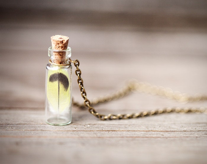 Yellow Feather necklace - Bottle necklace -  Natural history (N073)
