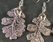Silver Dipped Oak Leaf Earrings with Surgical Steel Ear Wires