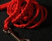 Braided Paracord Dog Leash Red Braid Puppy Dog Leash Lead 4 1/2 Ft