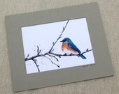 watercolor bird- Bluebird- 5x7 print matted to 8x10