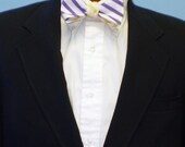 Purple and Yellow Bow Tie