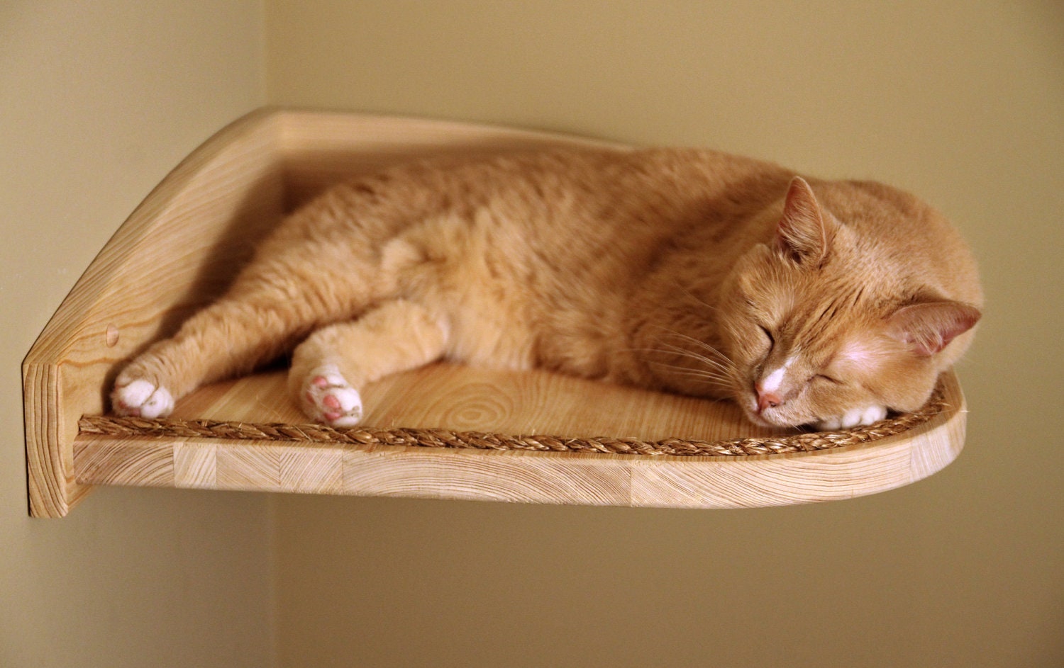 Mountain Cat Climbers, Solid Wood Shelves for Cats - Set of Four