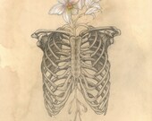 SALE Limited Edition HUMAN NATURE Poster Anatomy Series Number 2 11x14 Lustre Print Ribs Orchids Signed by the artist