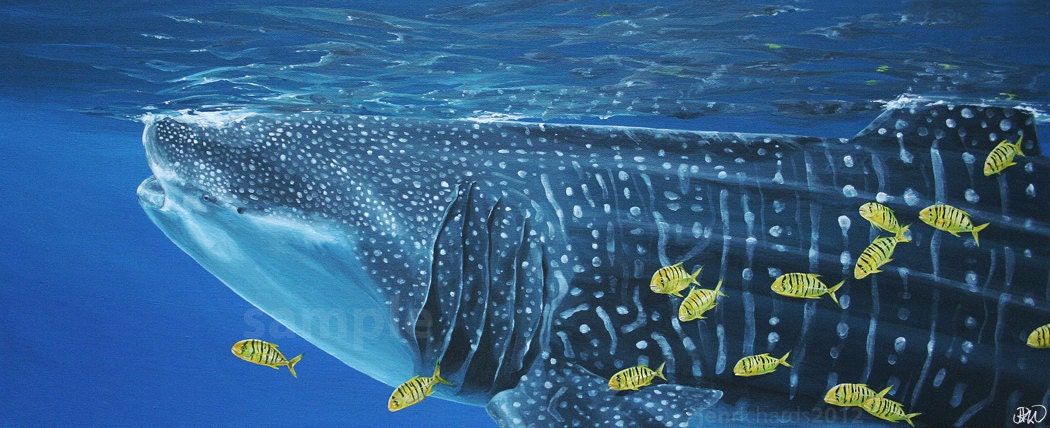 Whale shark - 7.5 x 18 print of original painting