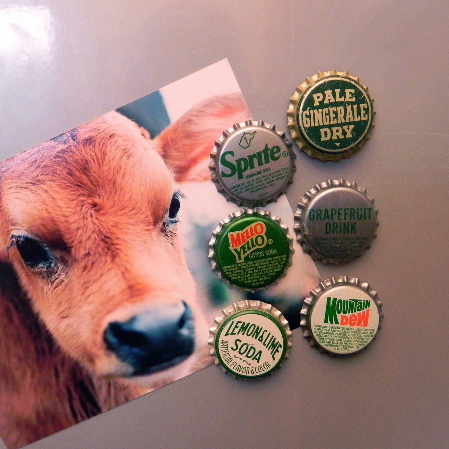 GREEN 6-Pack Bottle Cap Magnets Vintage Soda POP