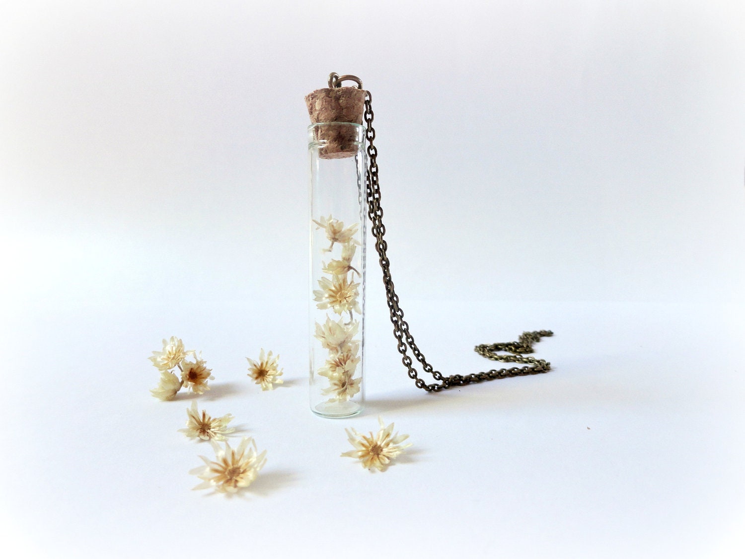 Hey Daisies - Curiosity vial bottle necklace Botanical Specimen flower glass Nature lover Gift  Woodland jewelry Gardener under 30