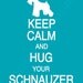 Keep Calm and Hug Your Schnauzer