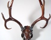 Deer Skull Taxidermy Antlers Painted Rust, Bronze Natural Aqua Patina Art Sculpture