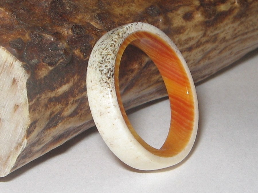 Antler Lined with Ponderosa Pine, Custom Antler and Wood Ring