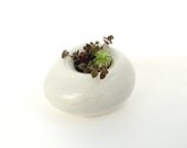 Dove Grey Succulent Planter