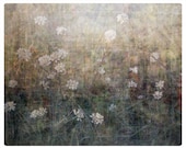 8X10 inch fine art photography print, flowers, meadow, limited edition, home photo, wall art, sepia, retro, chic, painting, earth, rustic