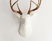 Faux Taxidermied - The Lydia- White W/ Bronze Metallic Antlers Resin Deer Head- Stag Resin White Faux Taxidermy- Chic & Trendy