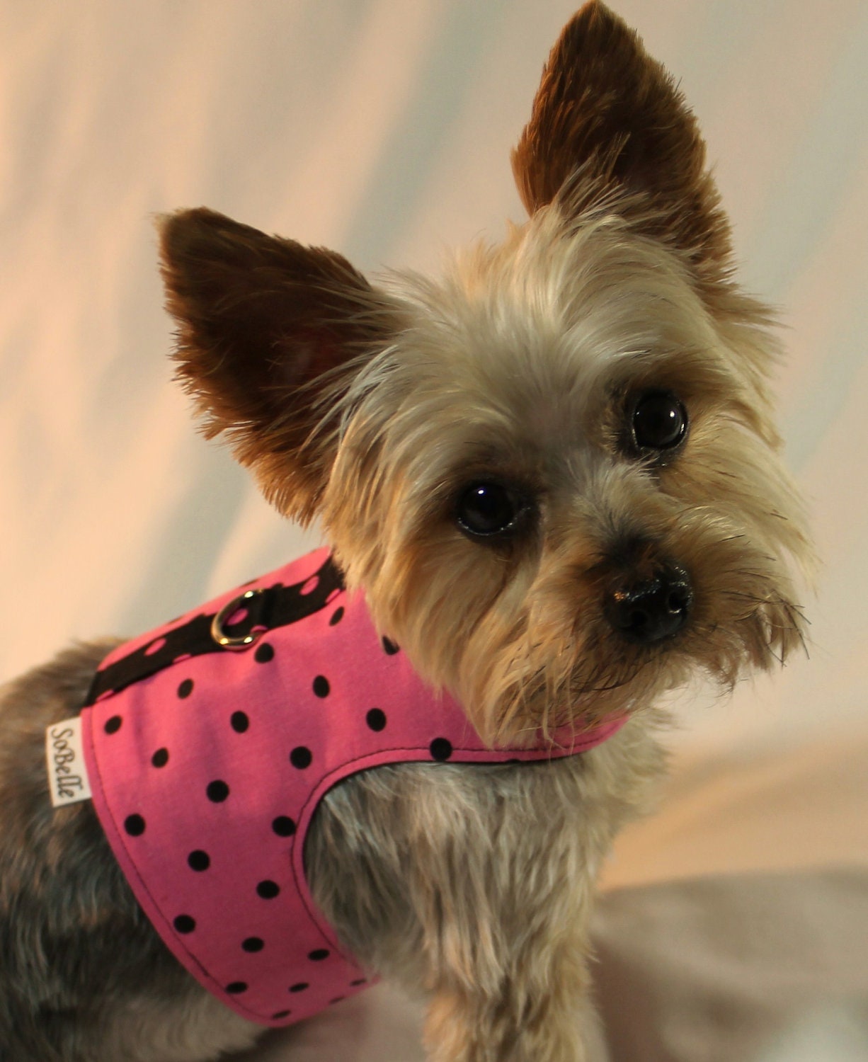 XXSMALL Black on Pink Polka Dot Dog Harness
